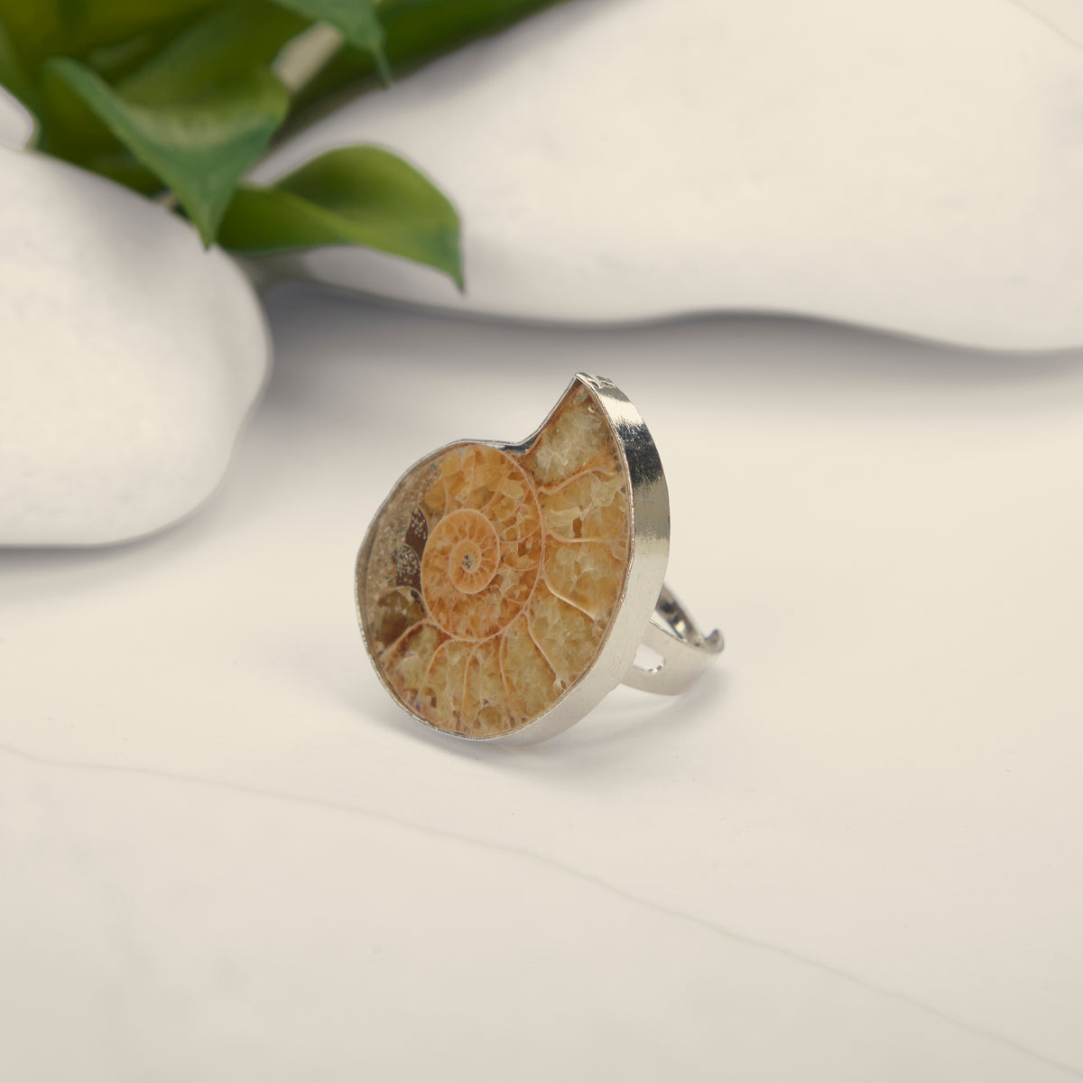 Ammonite Fossil Ring