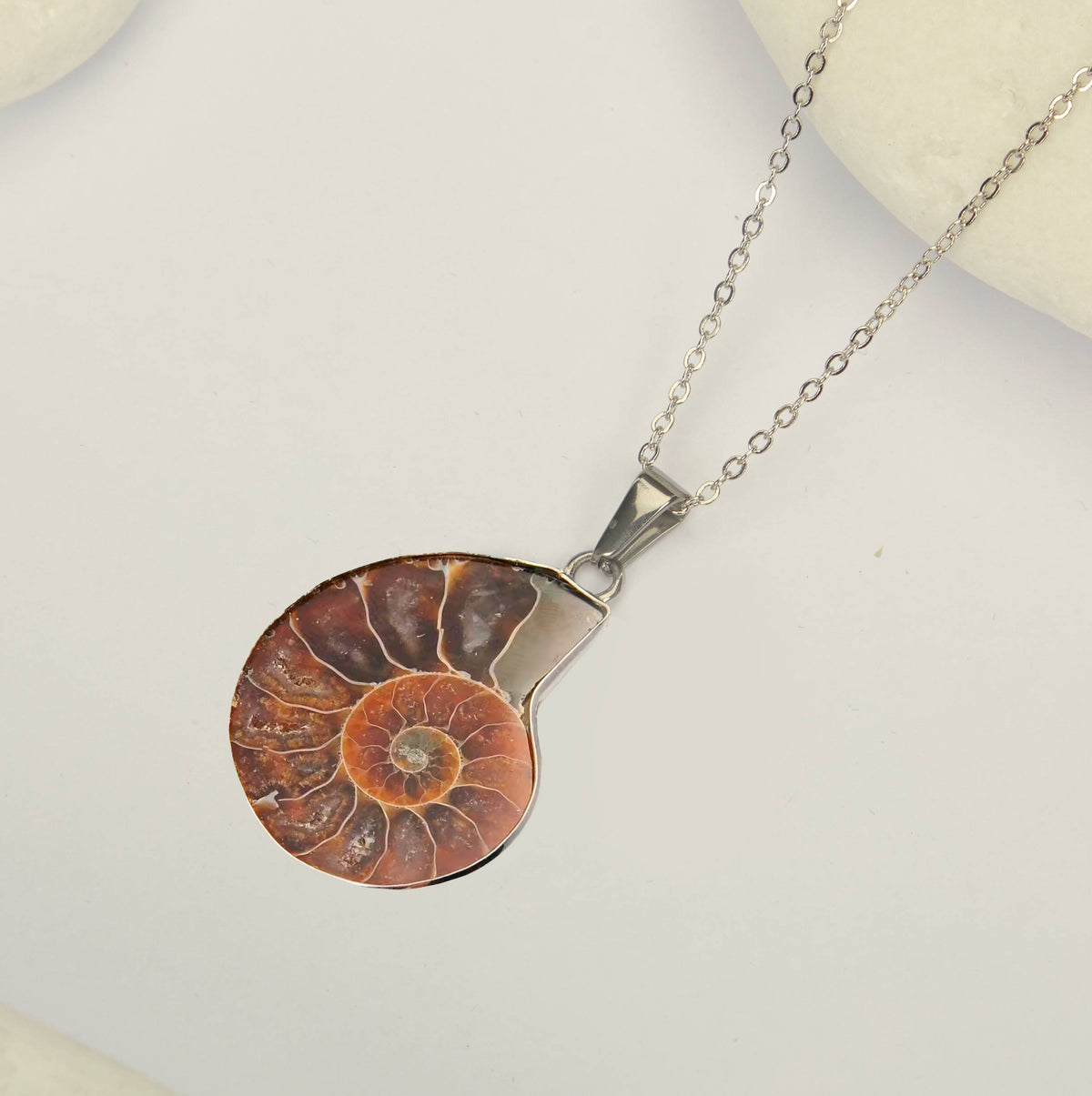 Ammonite Fossil Pendant