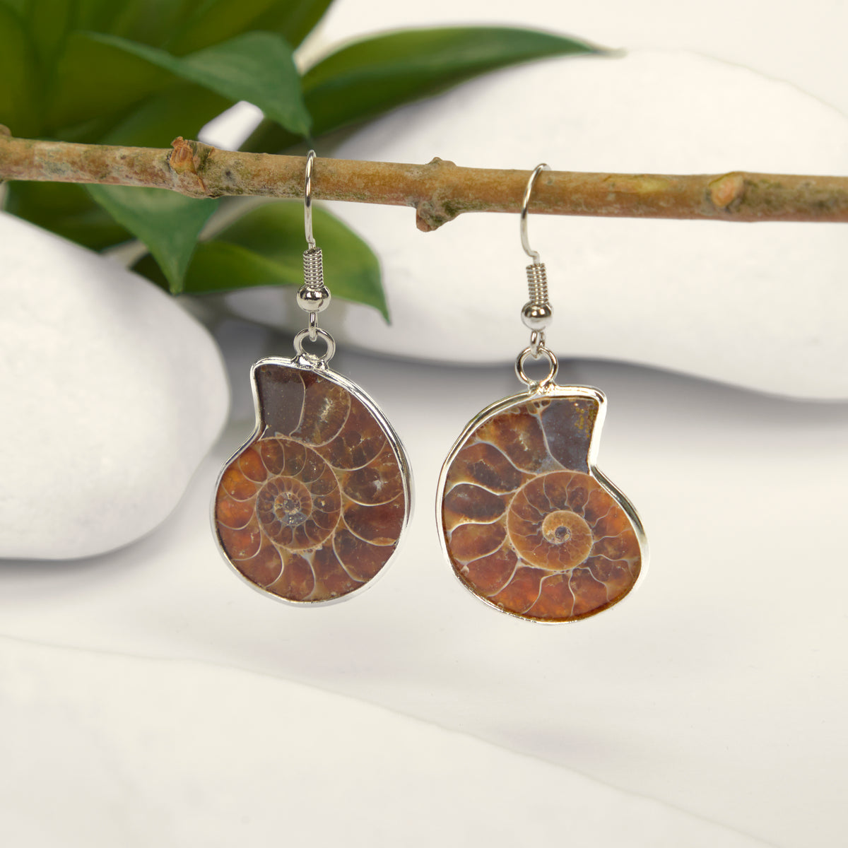 Ammonite Fossil Earrings